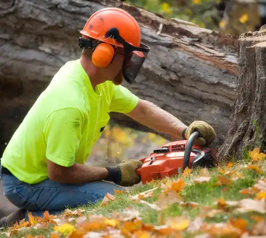 tree services Houma